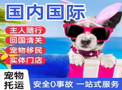 齐齐哈尔三家子机场空运国际宠物托运 【国